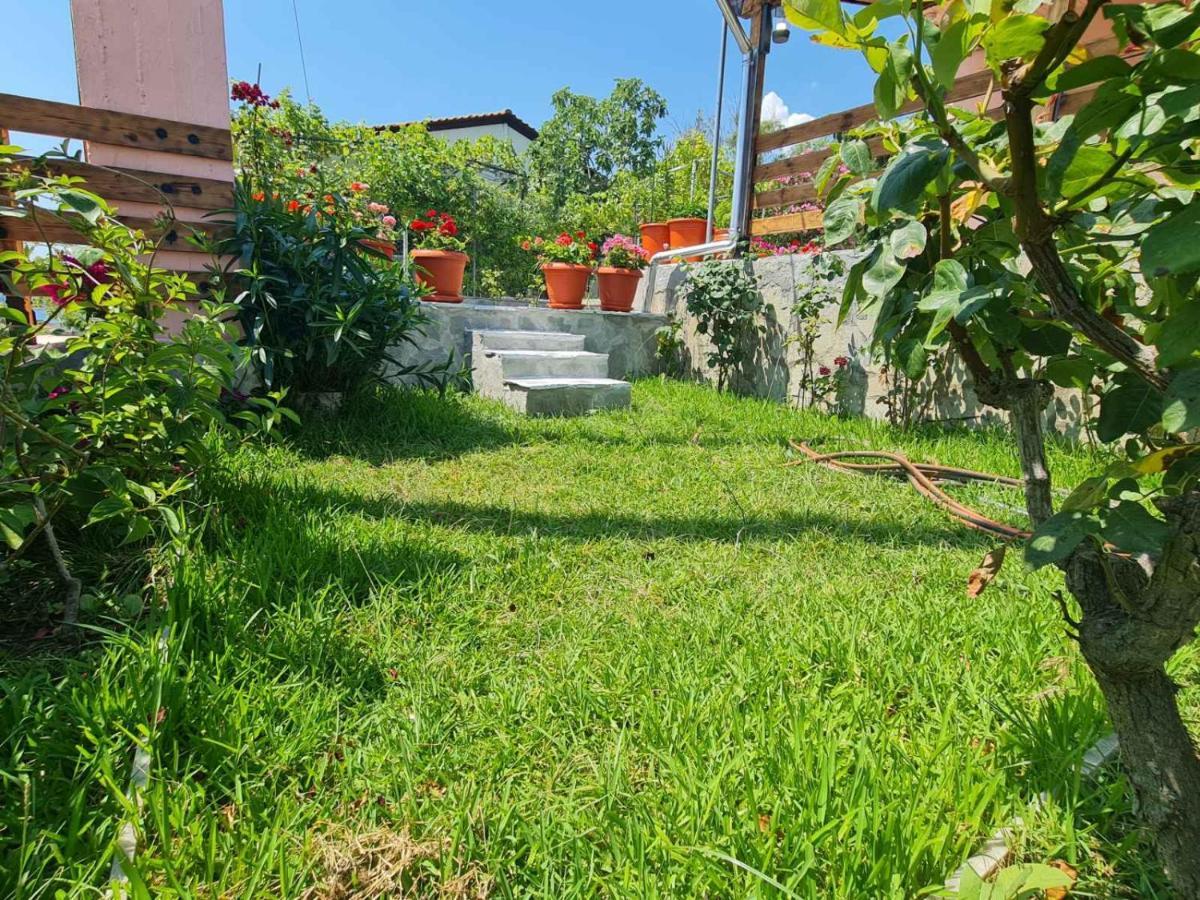 Stella'S Garden Villa PalaiónTsiflíkion Kültér fotó