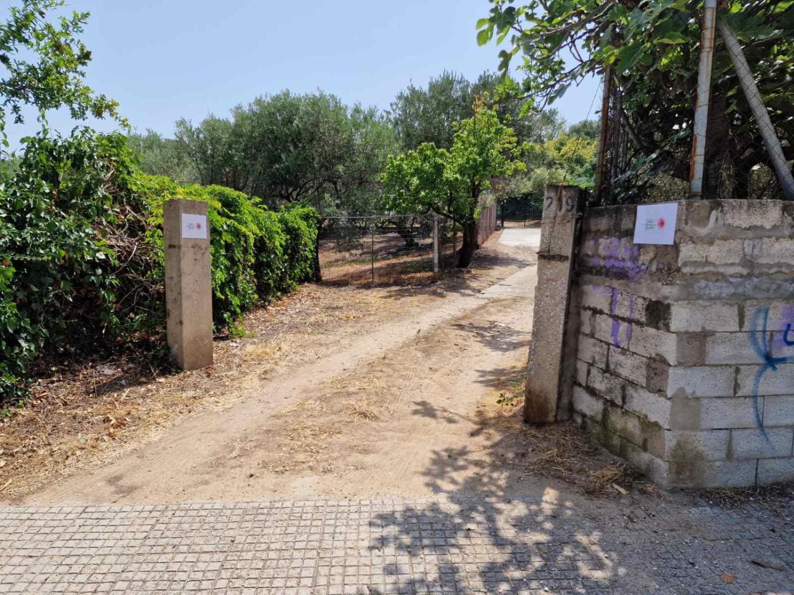 Stella'S Garden Villa PalaiónTsiflíkion Kültér fotó