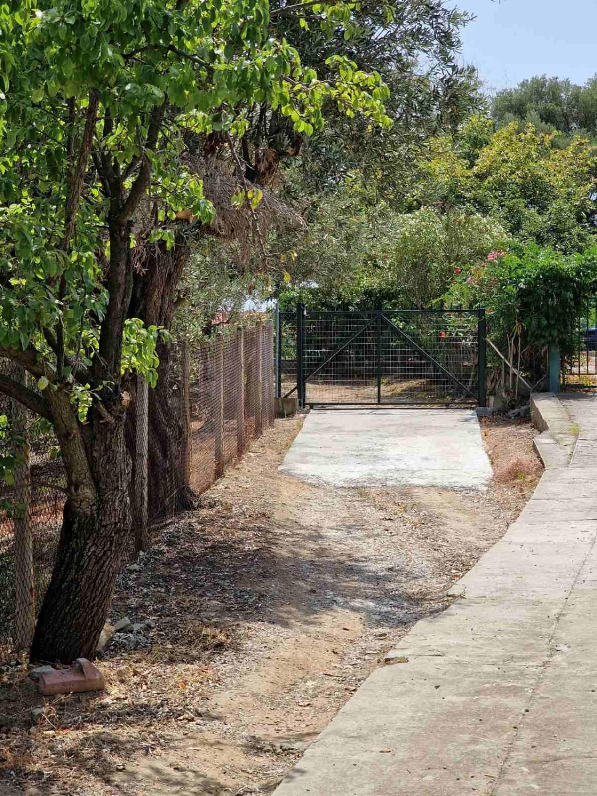 Stella'S Garden Villa PalaiónTsiflíkion Kültér fotó
